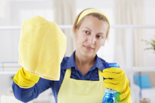 Professional steam carpet cleaning in a Chiswick living room
