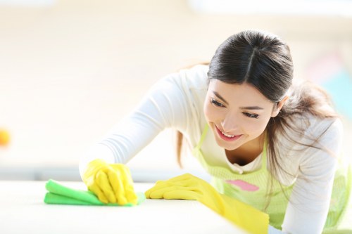 Customer responsibilities and liability limits in cleaning services