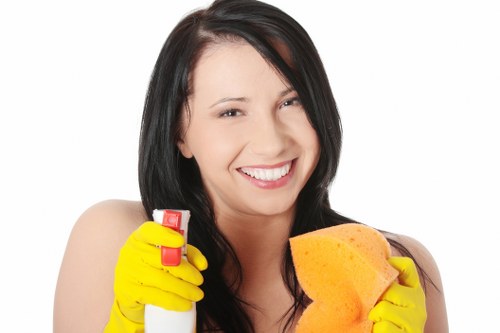Residential carpet steam cleaning service in Chiswick